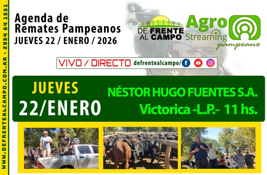 Remate feria Néstor Hugo Fuentes S.A. en Victorica, La Pampa, Jueves 22 de enero de 2026, transmisión en vivo.