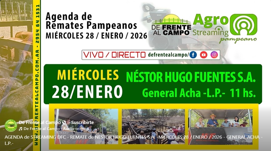 Remate feria Néstor Hugo Fuentes S.A. en General Acha, La Pampa, miércoles 28 de enero de 2026, transmisión en vivo.