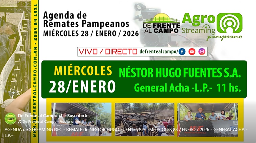 Remate feria de Néstor Hugo Fuentes S.A. en General Acha, La Pampa, el miércoles 28 de enero de 2026, transmitido en vivo.