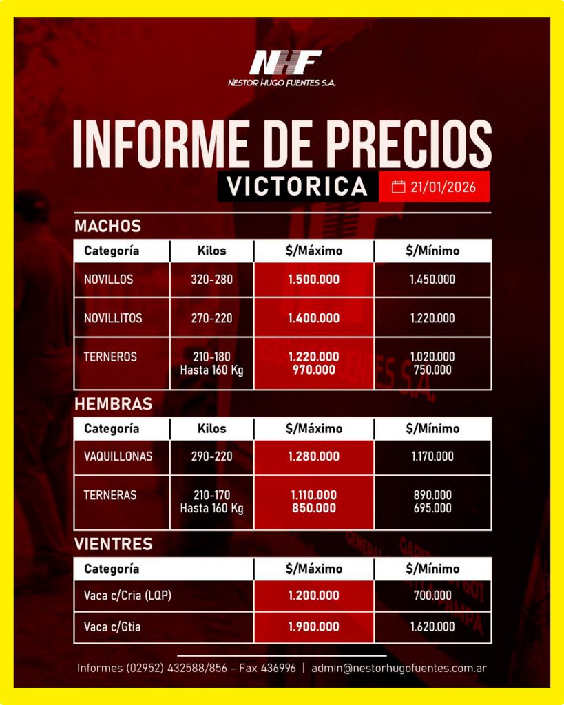 Informe de precios del remate feria Néstor Hugo Fuentes Victorica 21 enero 2026 con valores de machos, hembras y vientres