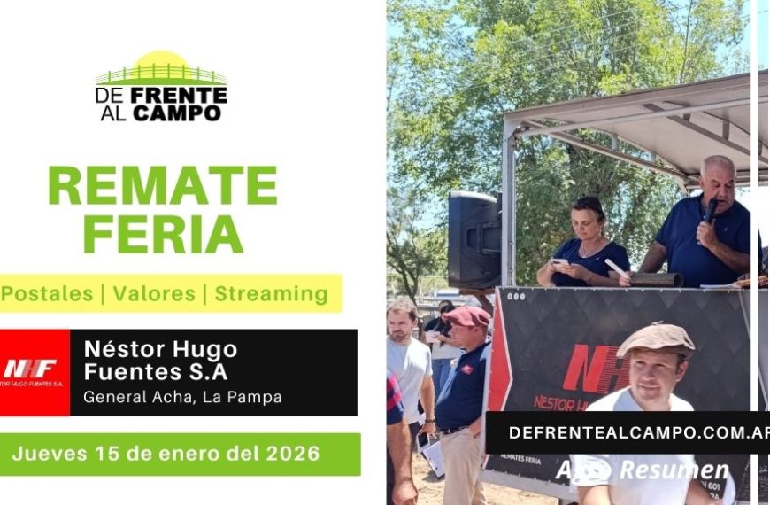 Remate Feria de Néstor Hugo Fuentes S.A. | General Acha | Jueves 15/01/2026