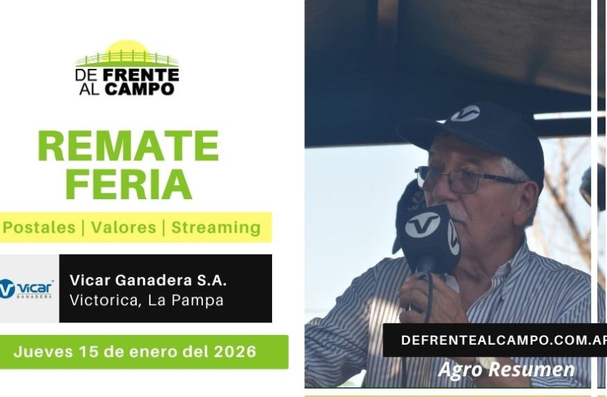 Remate Feria de Vicar Ganadera S.A. | Victorica | Jueves 15/01/2026