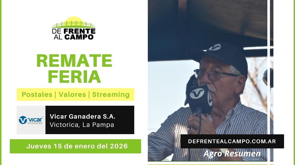 Remate Feria de Vicar Ganadera S.A. | Victorica | Jueves 15/01/2026