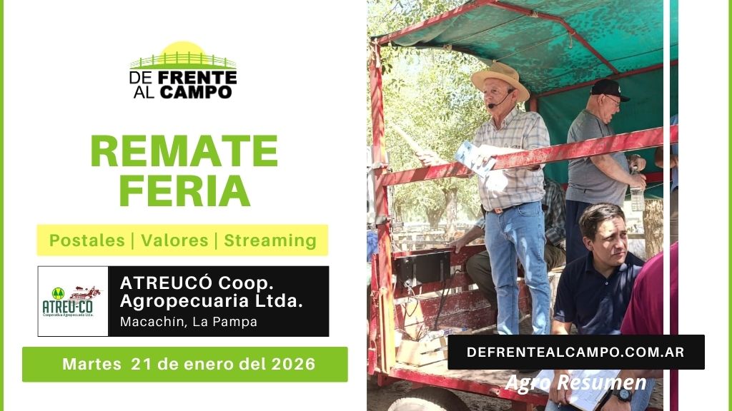 Remate Feria de ATREU-CO | Macachín, La Pampa | Martes 20/01/2026