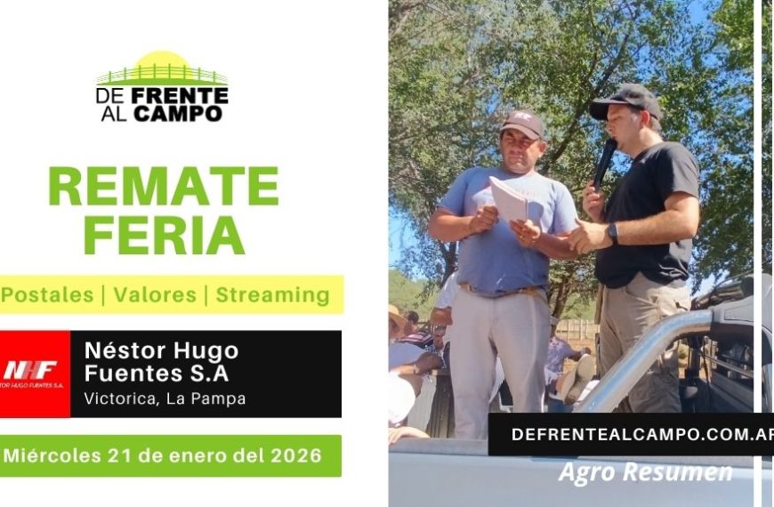 Remate Feria de Néstor Hugo Fuentes S.A. | Victorica | Miércoles 21/01/2026