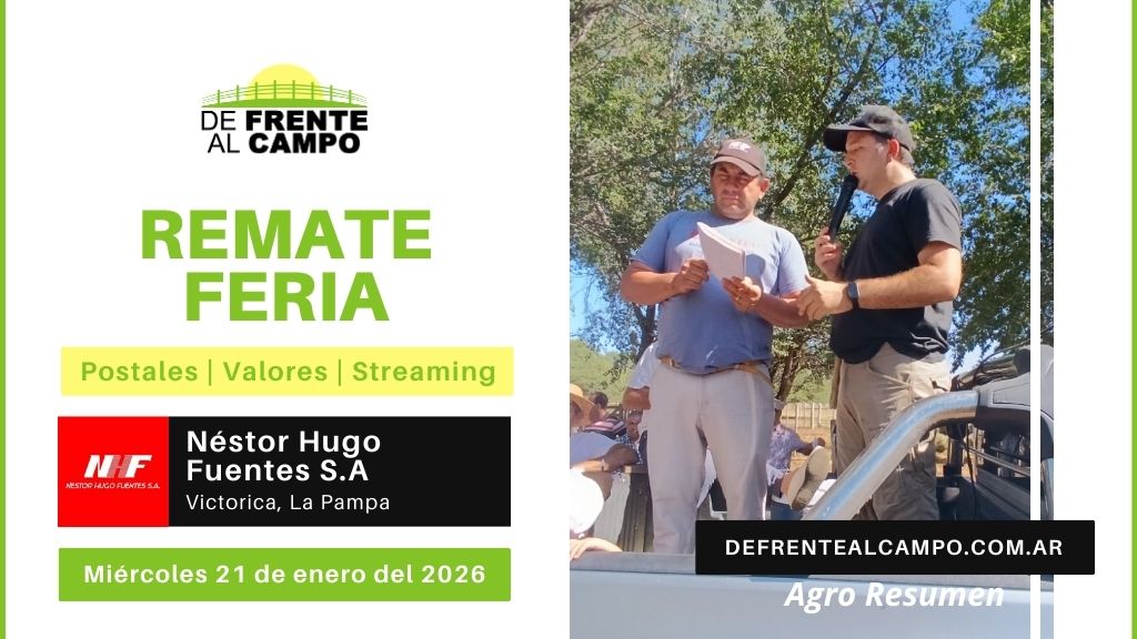 Remate Feria de Néstor Hugo Fuentes S.A. | Victorica | Miércoles 21/01/2026