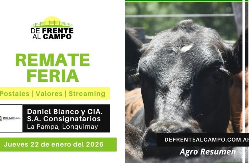 Remate Feria de Daniel Blanco y Cía. S.A. Consignatarios | Lonquimay | Jueves 22/01/2026