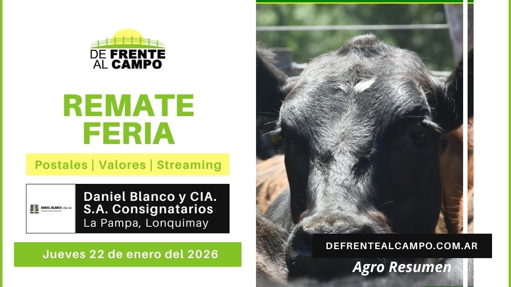 Remate Feria de Daniel Blanco y Cía. S.A. Consignatarios | Lonquimay | Jueves 22/01/2026