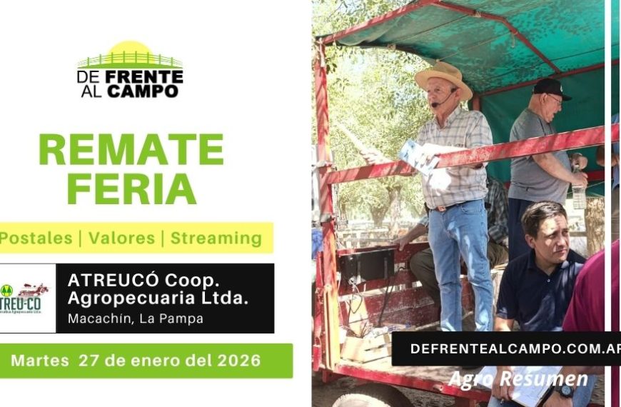 Remate Feria de Atreu-có Cooperativa Agropecuaria LTDA. | Macachín | Martes 27/01/2026