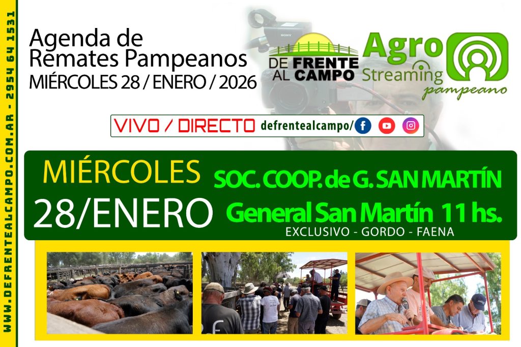 Remate feria de Sociedad Cooperativa Agrícola Ganadera Ltda. en General San Martín, La Pampa, 28 de enero de 2026
