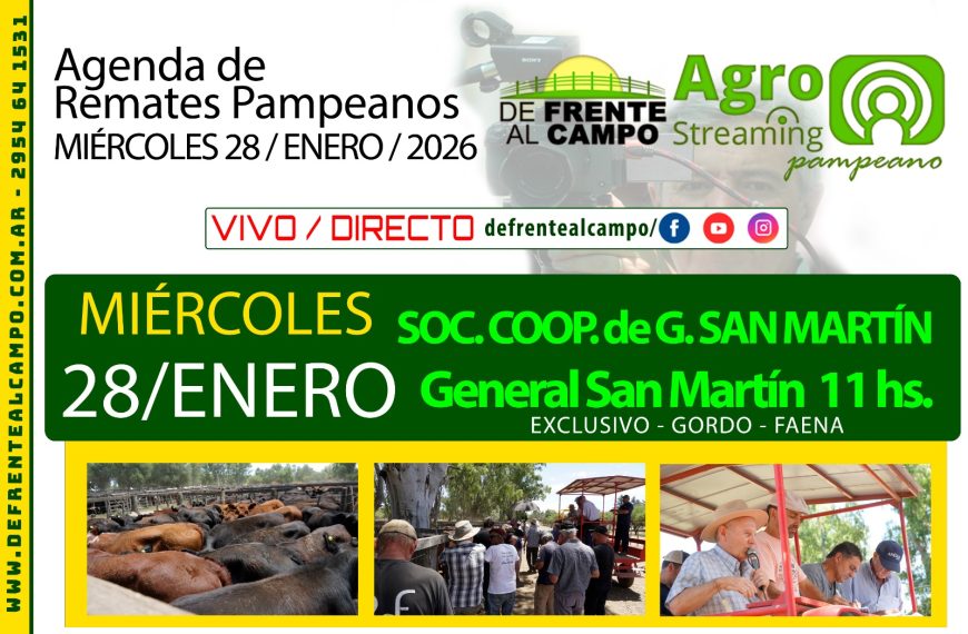 Remate feria de Sociedad Cooperativa Agrícola Ganadera Ltda. en General San Martín, La Pampa, 28 de enero de 2026