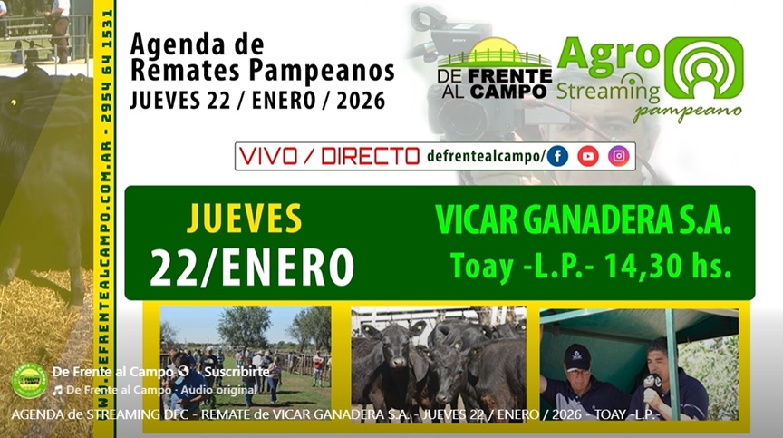 Remate feria Vicar Ganadera S.A. en Toay, La Pampa, jueves 22 de enero de 2026 con transmisión en vivo