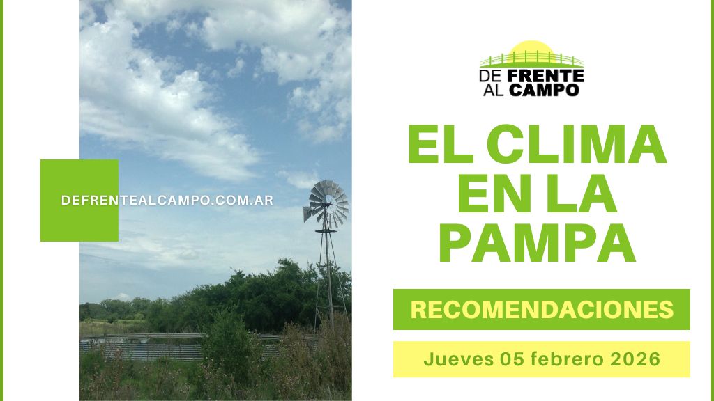 Se afirma el tiempo estable en la provincia: viento del sur y humedad elevada – Pronóstico del tiempo La Pampa hoy 12 °C / 26 °C (Jueves 05 de febrero 2026)