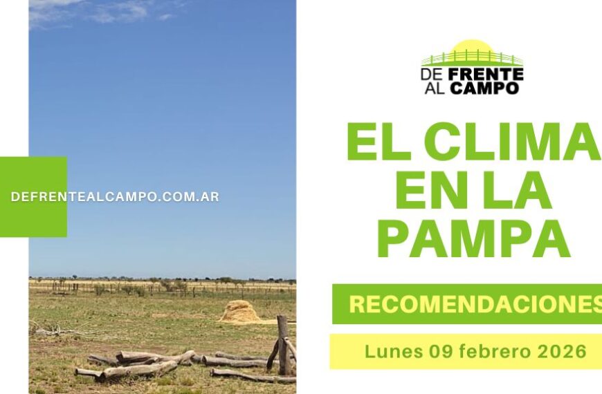 El clima en La Pampa: recomendaciones para el lunes 09 de febrero 2026 en gráfica de De Frente al Campo.