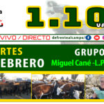 Grupo Quemú | Miguel Cané | Próximo Remate Feria el martes 10 de febrero de 2026