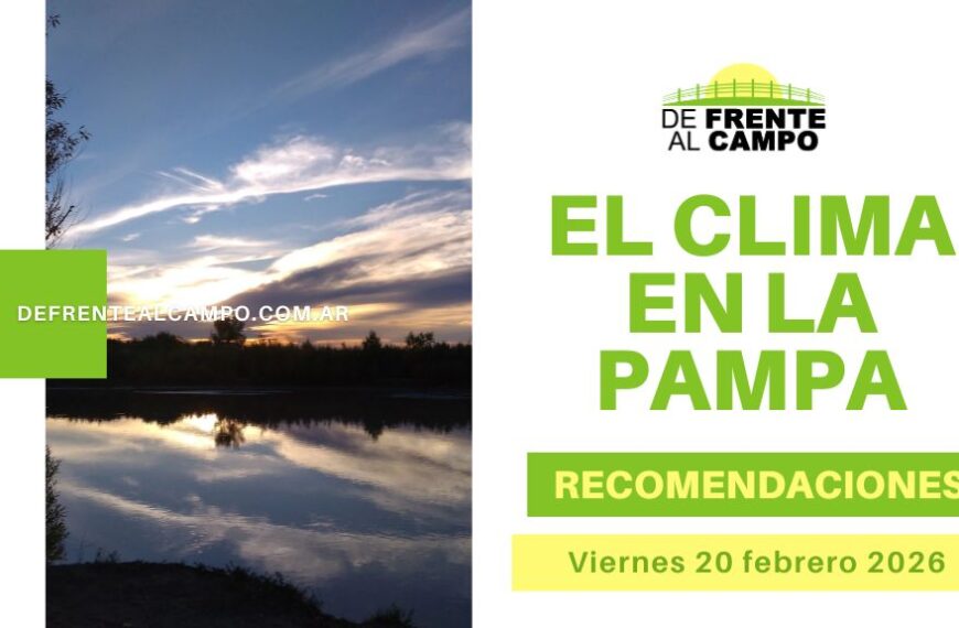 Pronóstico del tiempo en La Pampa este fin de semana con atardecer y placa El clima en La Pampa