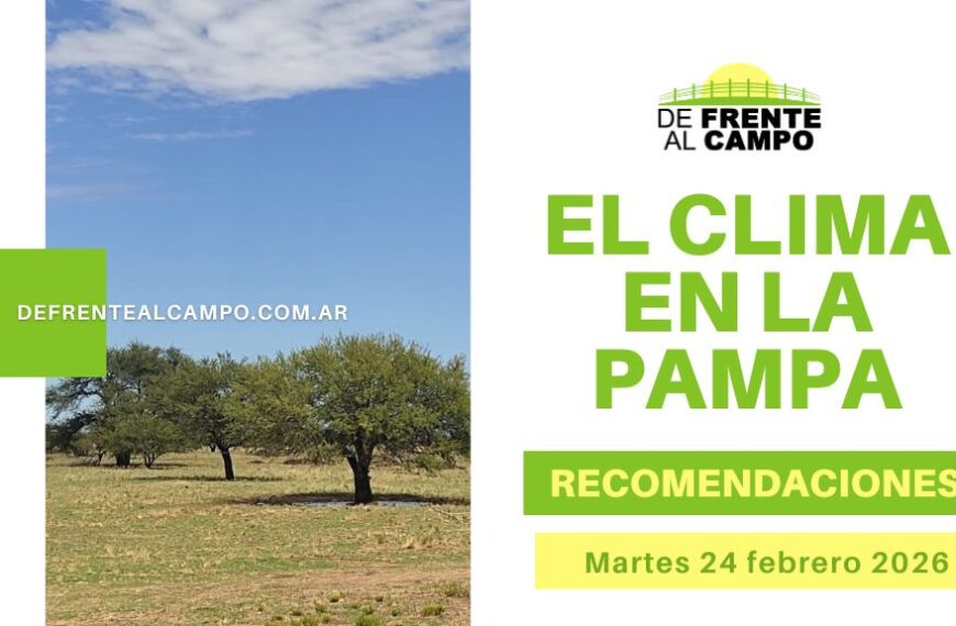 Pronóstico del tiempo en La Pampa hoy con cielo despejado y paisaje rural bajo condiciones climáticas estables.