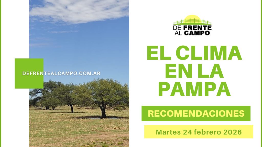 Pronóstico del tiempo en La Pampa: viento del sur con ráfagas de hasta 56 km/h y temperaturas entre 8 °C y 29 °C (Martes 24 de febrero 2026)