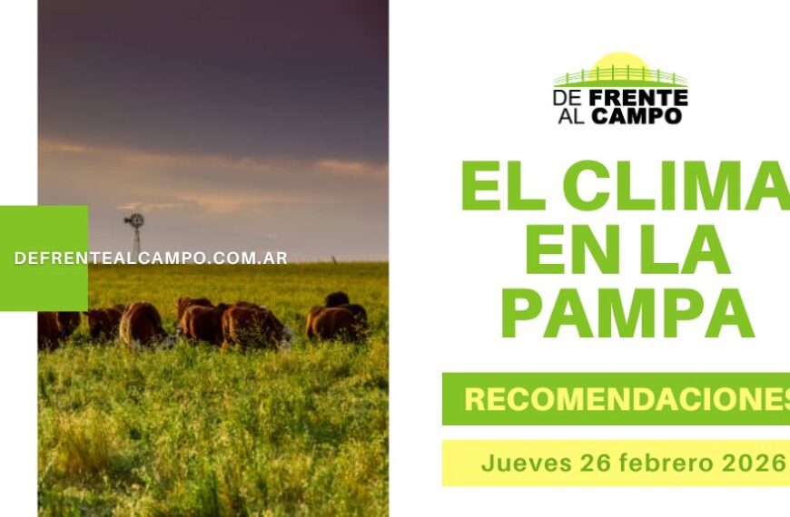 Imagen del campo pampeano con ganado y título gráfico del Pronóstico del tiempo La Pampa hoy con recomendaciones para el jueves 26 de febrero.