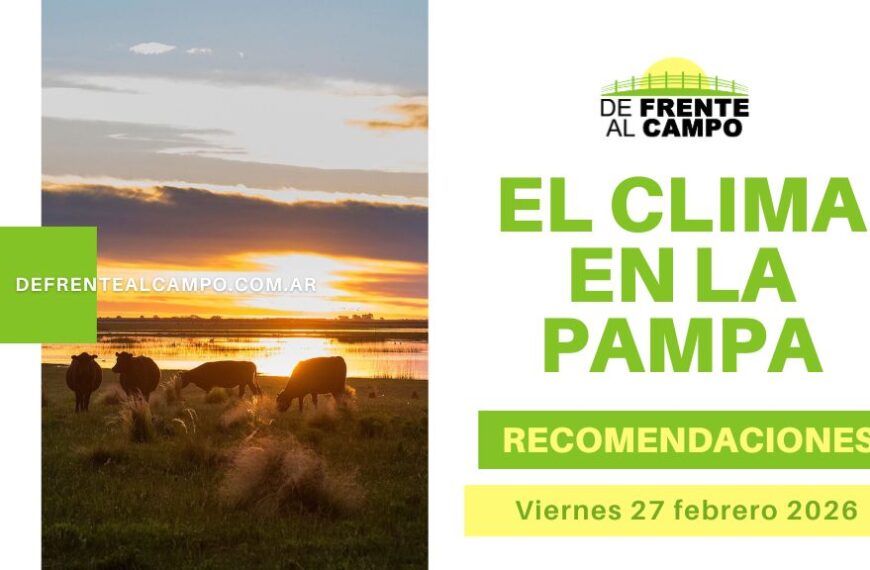 Pronóstico del tiempo en La Pampa este fin de semana con imagen de ganado al atardecer y recomendaciones climáticas para el viernes 27