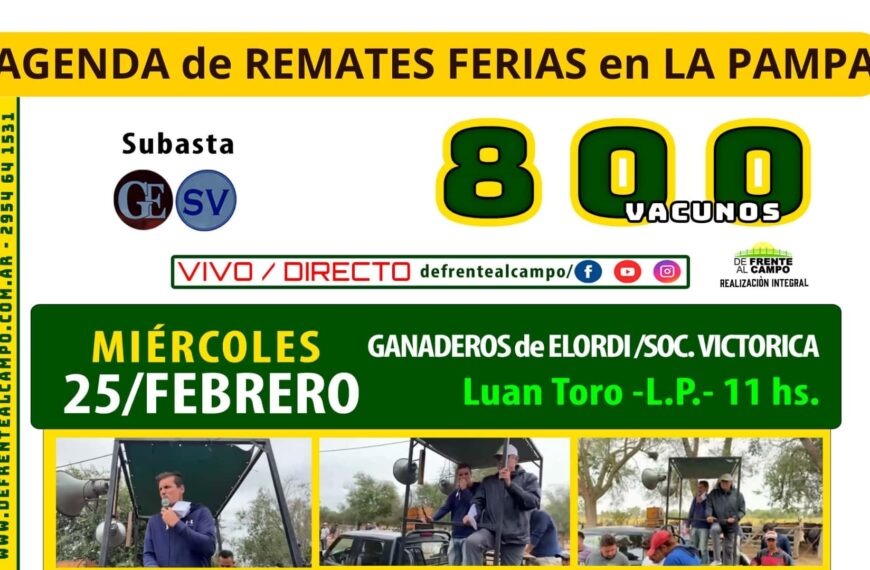Ganaderos de Elordi | Luan Toro | Próximo Remate Feria el miércoles 25 de febrero de 2026