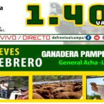 Ganadera Pampeana SRL | General Acha | Próximo Remate Feria el jueves 12 de febrero de 2026
