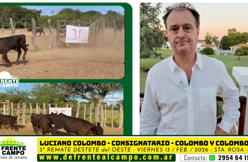 Luciano Colombo – Colombo y Colombo S.A.-