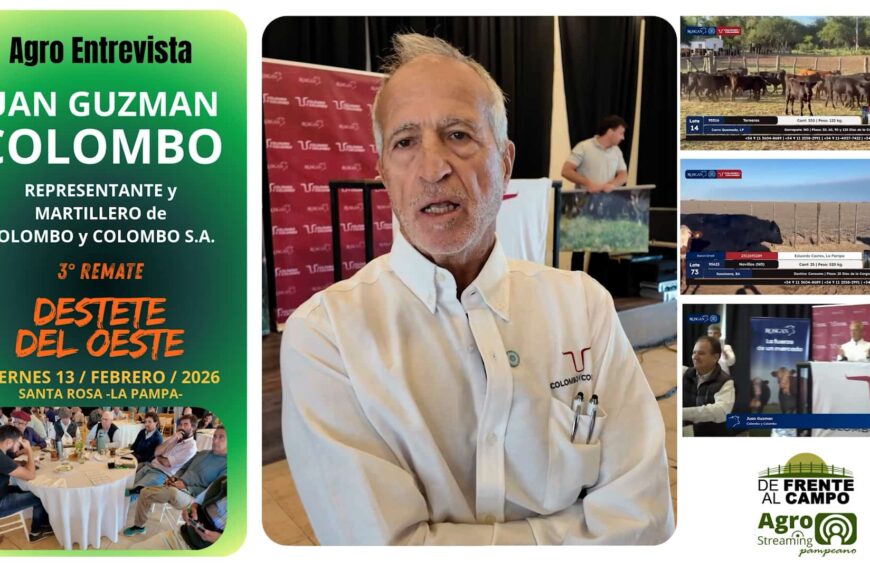 Juan Guzmán Colombo -Rpte. y martillero de Colombo y Colombo S.A.-
