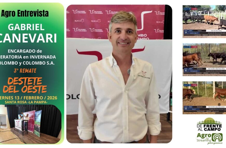 Gabriel Canevari -Encargado de Invernada de Colombo y Colombo S.A.-