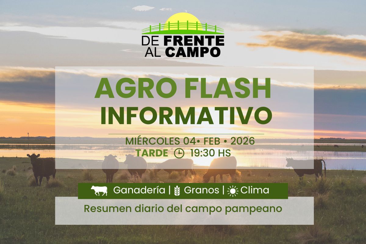 Agro Flash Tarde | Edición del miércoles 04/02/2026