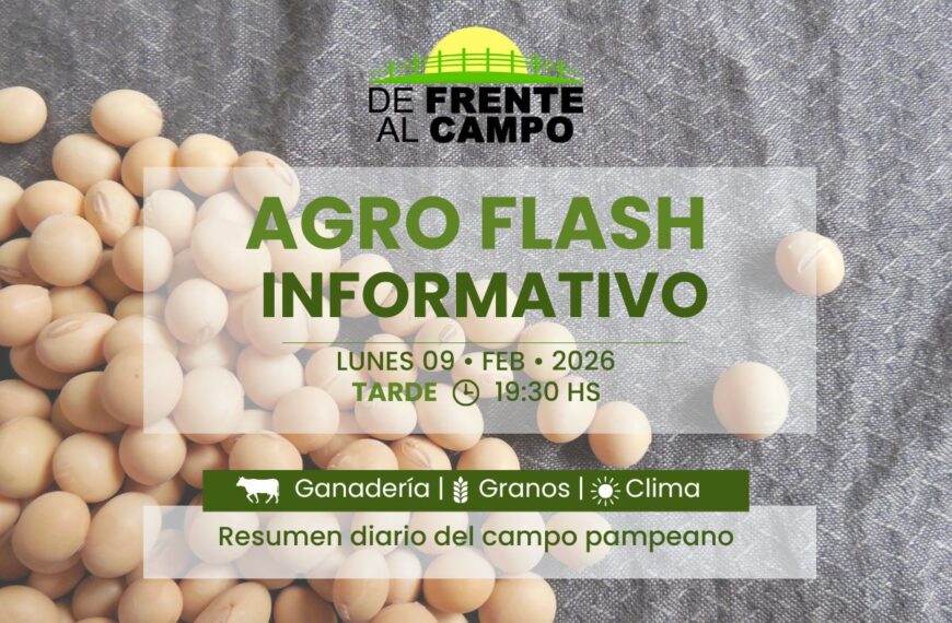 Placa de Agro Flash Informativo con título del reporte diario sobre ganadería, granos y clima sobre fondo de soja