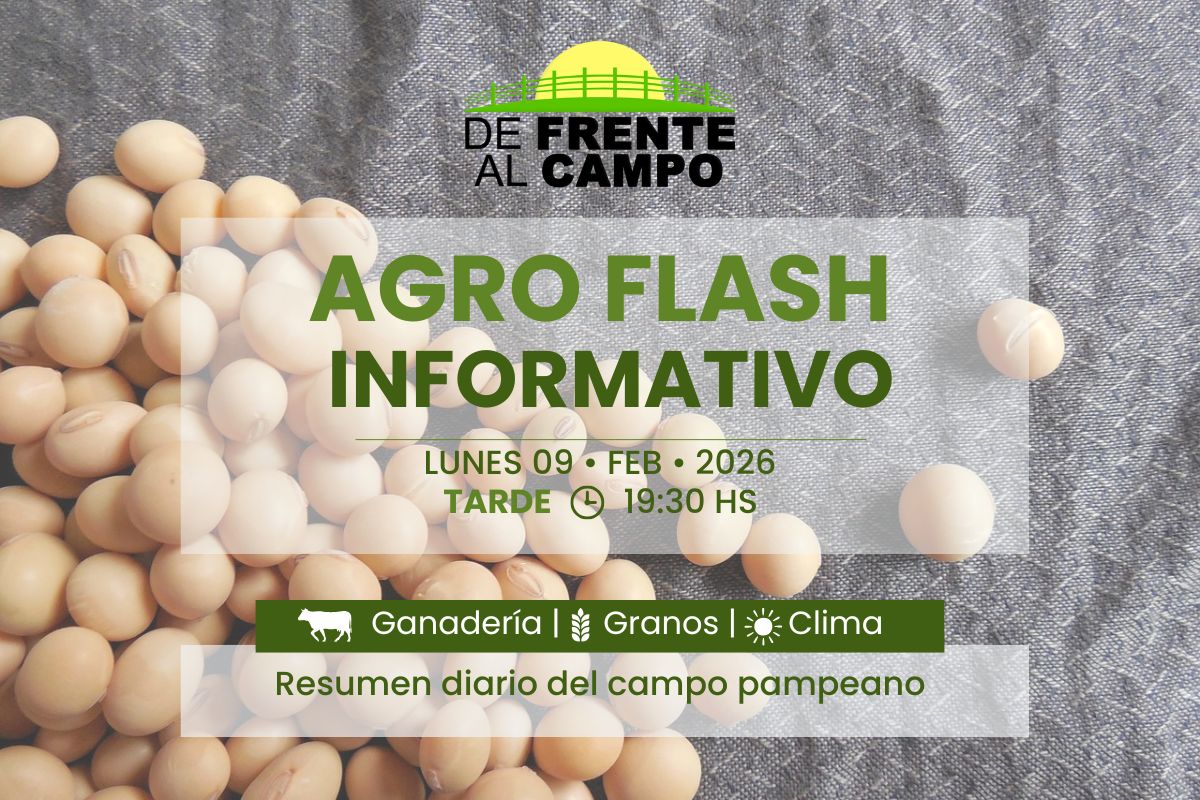 Placa de Agro Flash Informativo con título del reporte diario sobre ganadería, granos y clima sobre fondo de soja
