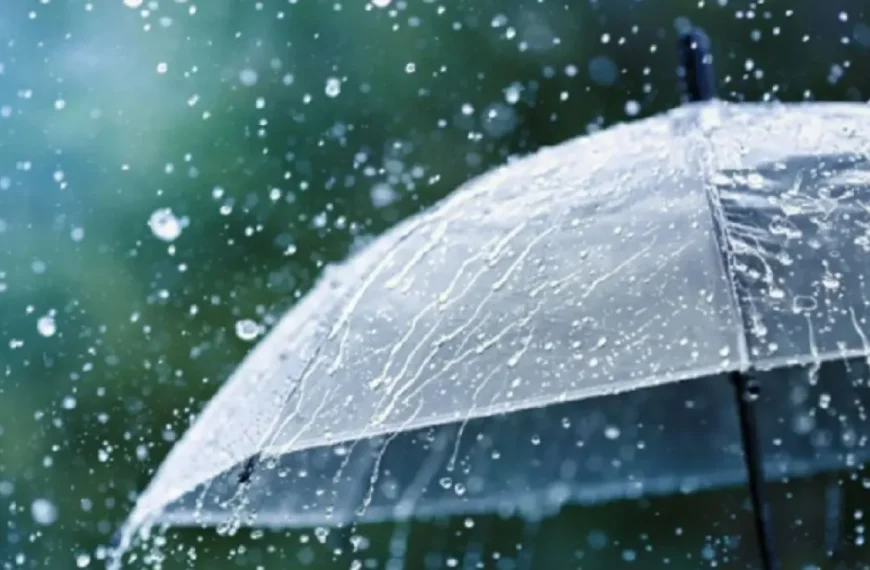 Alerta por tormentas severas, alta humedad y temperaturas inusuales hacia el cierre de la semana