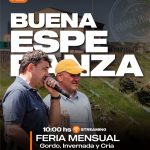 Alfredo S. Mondino | Buena Esperanza (San Luis) | Próximo Remate Feria el miércoles 11 de febrero de 2026
