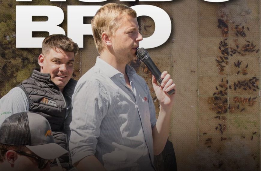 Remate feria Alfredo S. Mondino en Villa Huidobro el 4 de febrero 2026, feria mensual de gordo, invernada y cría.