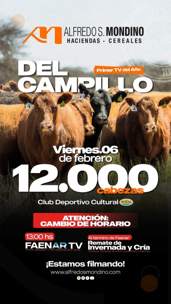 Remate feria Alfredo S. Mondino en Del Campillo con 12.000 cabezas el 6 de febrero de 2026.