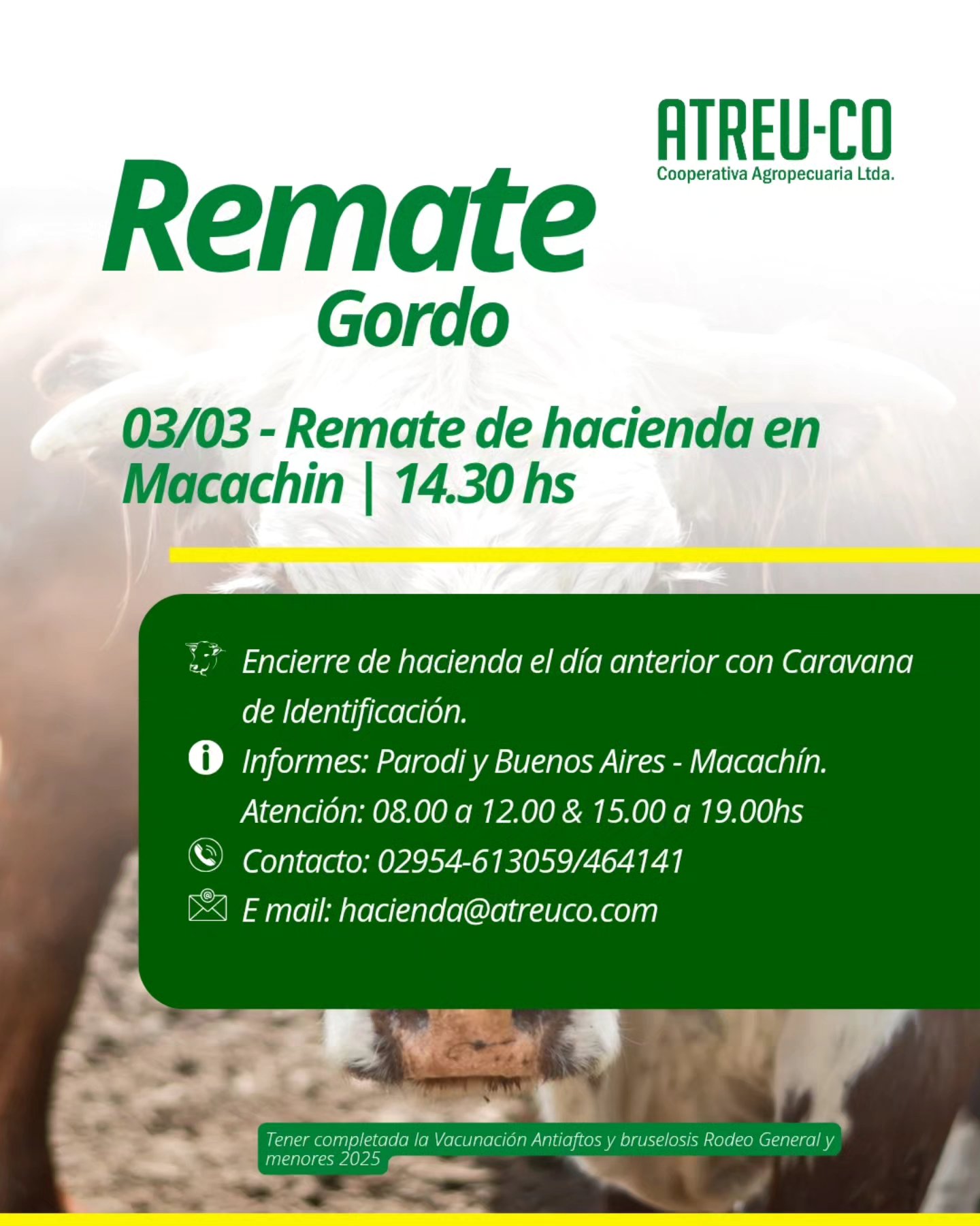 Remate feria ATREU-CO de hacienda gorda en Macachín el 3 de marzo de 2026 a las 14:30 hs