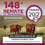 Brandemann Consignataria S.R.L. | Eduardo Castex | Próximo Remate Feria el viernes 20 de febrero de 2026