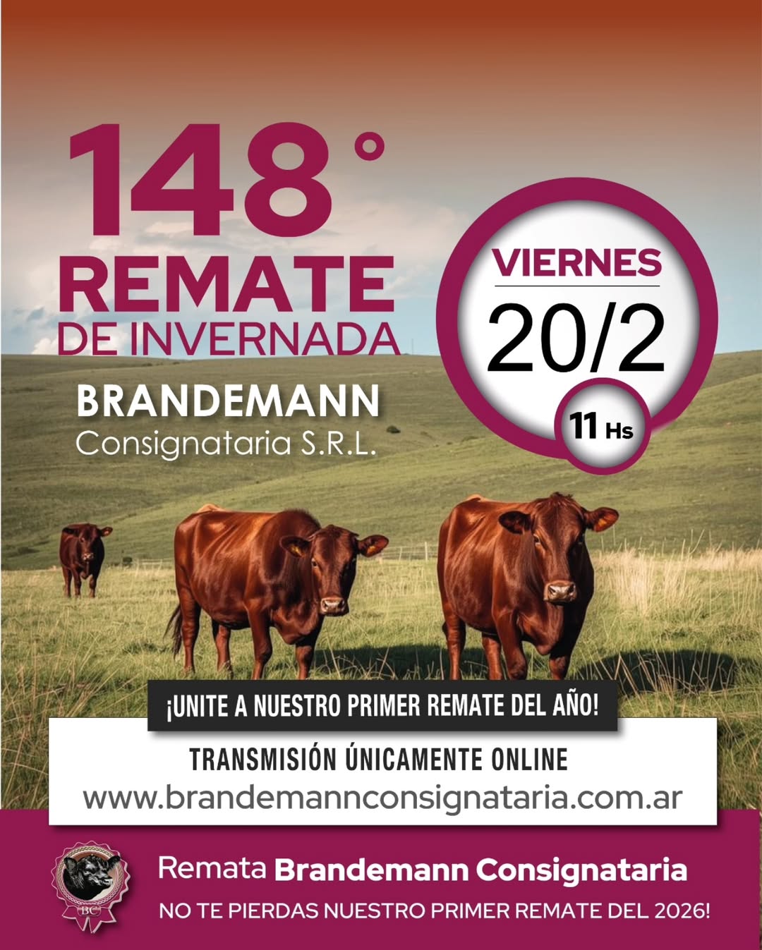 Remate feria Brandemann Consignataria en Eduardo Castex, La Pampa, 20 de febrero 2026, transmisión online de invernada