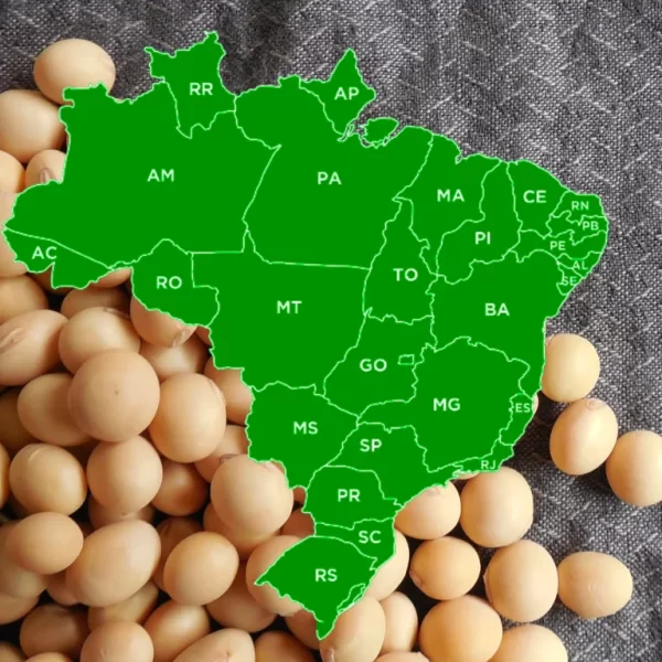 Brasil alcanza una cosecha récord de granos y refuerza el peso estratégico de Sudamérica