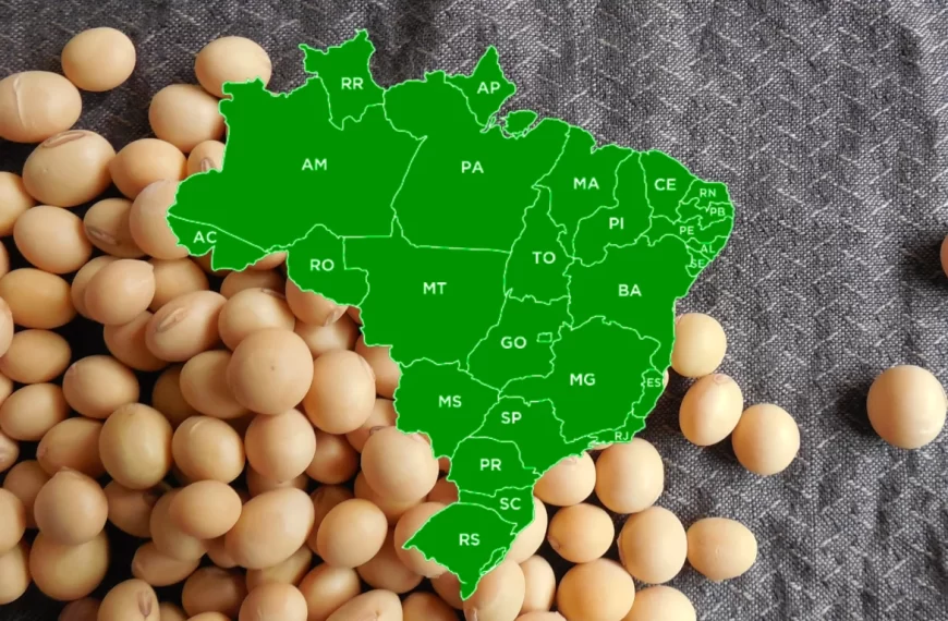 Brasil alcanza una cosecha récord de granos y refuerza el peso estratégico de Sudamérica