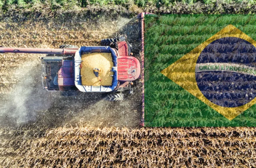Brasil consolida su liderazgo agrícola con soja récord y un maíz en fuerte expansión