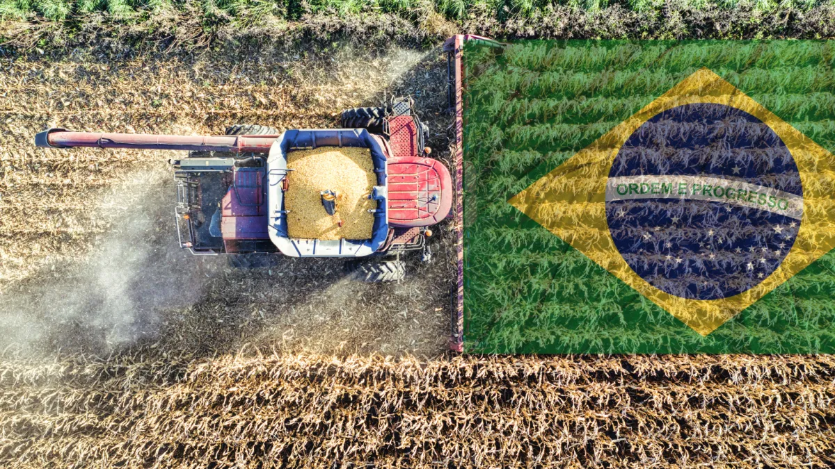 Brasil consolida su liderazgo agrícola con soja récord y un maíz en fuerte expansión