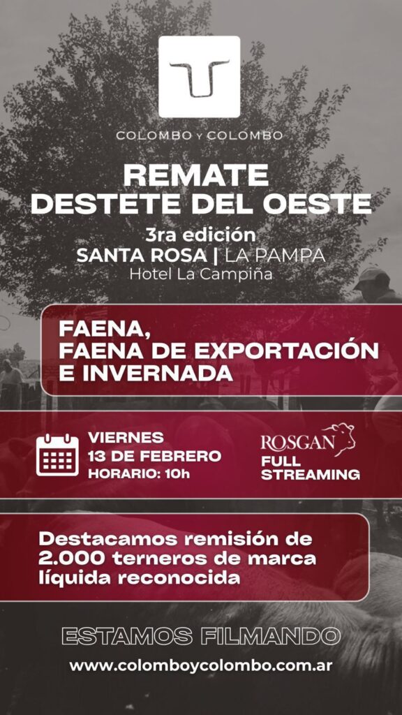 Remate feria Colombo y Colombo Santa Rosa La Pampa con destacada remisión de 2.000 terneros