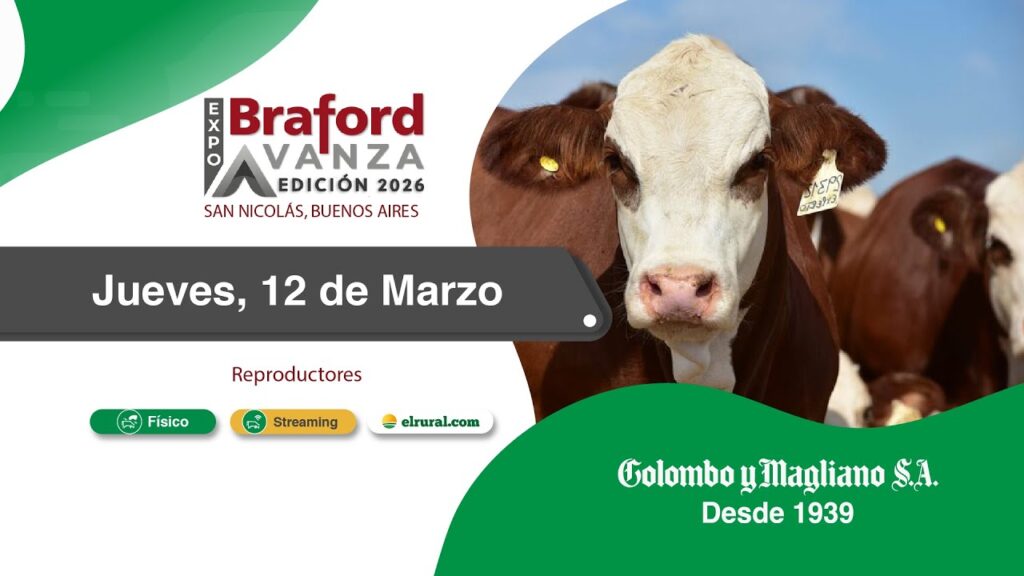 Remate feria Colombo San Nicolás en Expo Braford Avanza 2026 con reproductores bovinos y modalidad presencial y streaming