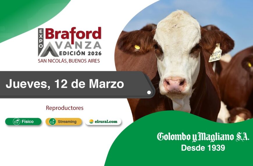 Remate feria Colombo San Nicolás en Expo Braford Avanza 2026 con reproductores bovinos y modalidad presencial y streaming