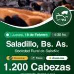 Colombo y Magliano S.A. | Saladillo, Bs. As. | Próximo Remate Feria el Jueves 19 de Febrero de 2026