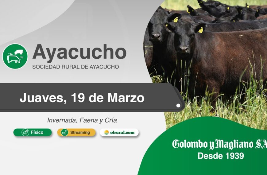 Remate feria Colombo Ayacucho 2026 en Sociedad Rural de Ayacucho con hacienda de invernada, faena y cría