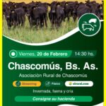 Colombo y Magliano S.A. | Chascomús, Bs. As. | Próximo Remate Feria el viernes 20 de febrero de 2026