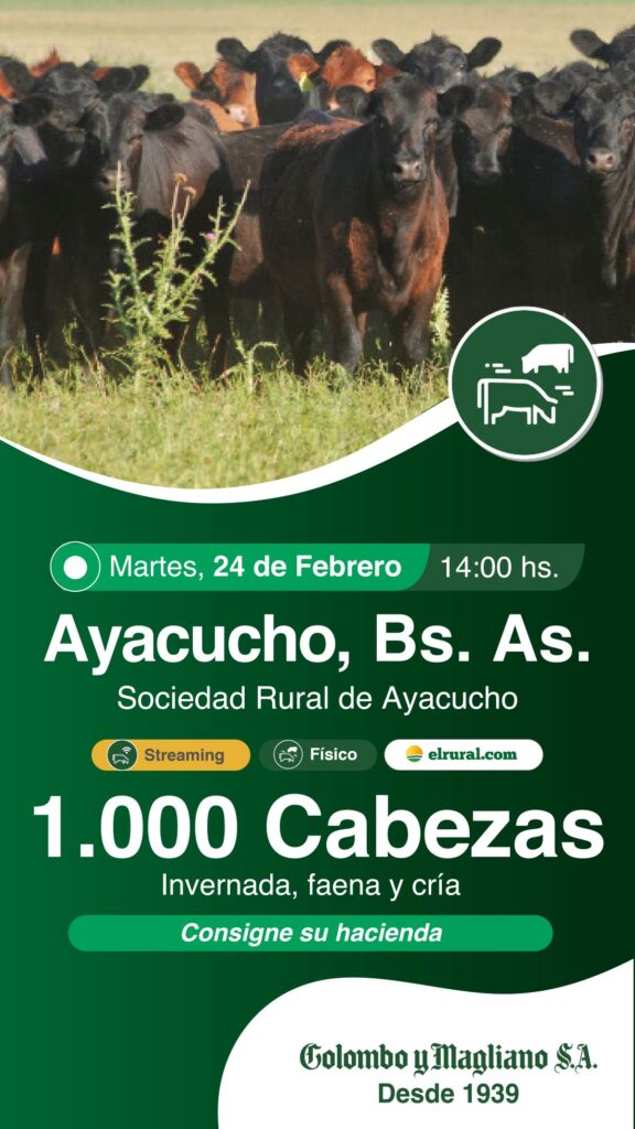 Remate feria Colombo y Magliano Ayacucho con 1.000 cabezas de hacienda en Sociedad Rural de Ayacucho el 24 de febrero de 2026.
